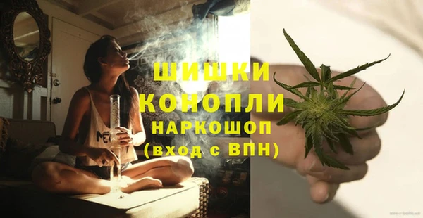 дживик Арсеньев
